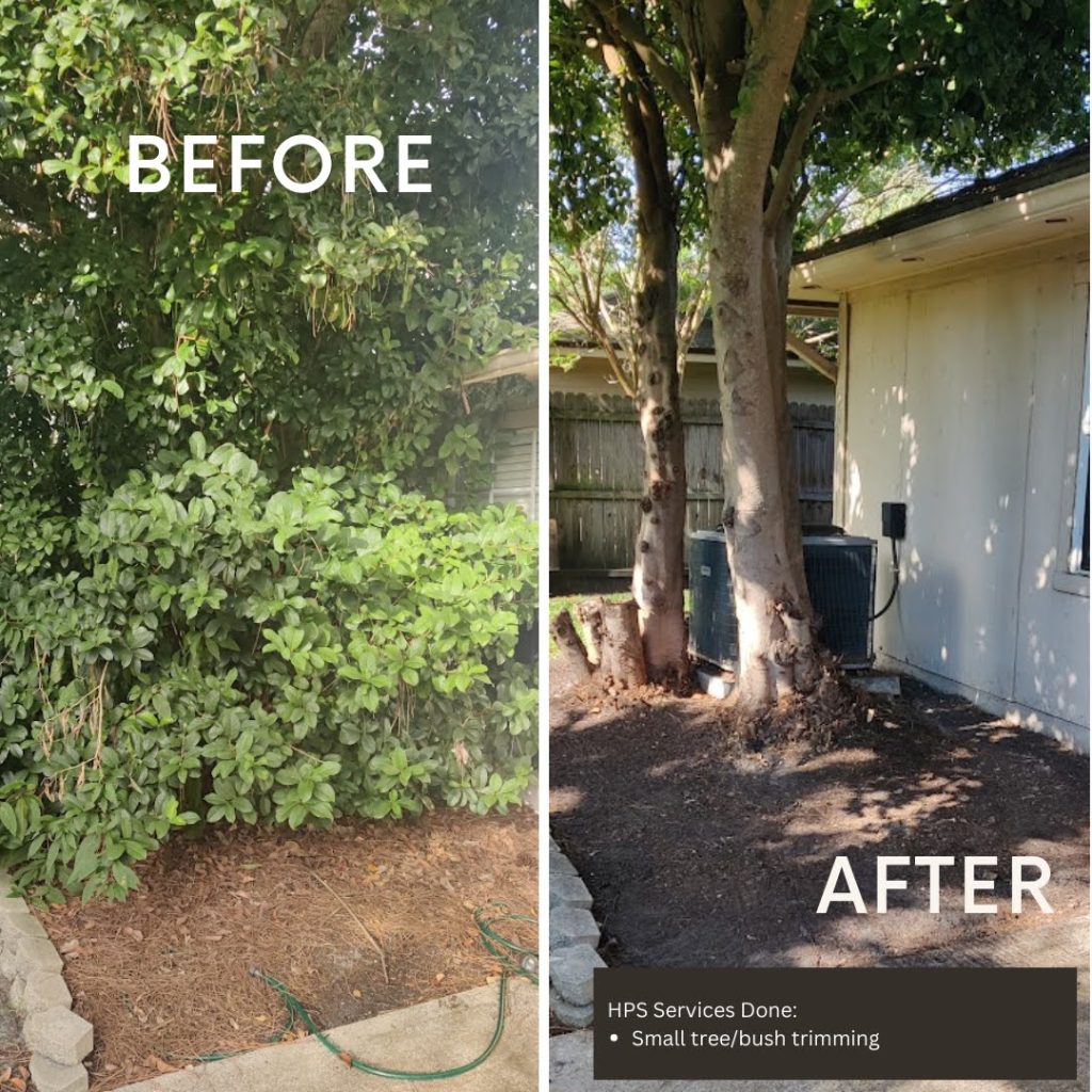 Landscaping Landscaping